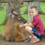 deer park and petting zoo