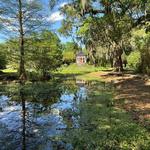 Avery Island and TOBASCO Factory & Museum