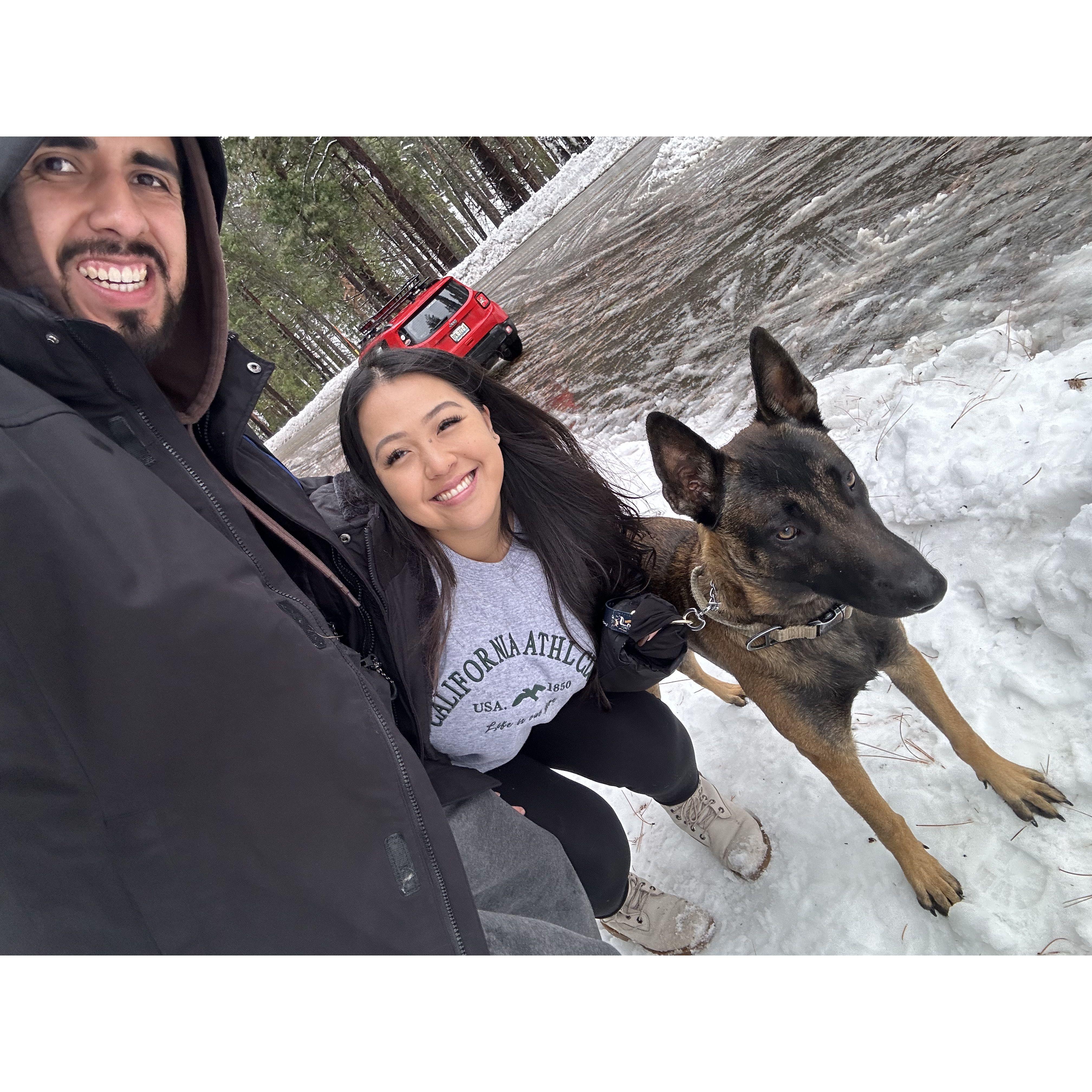 Kylos first trip Yosemite