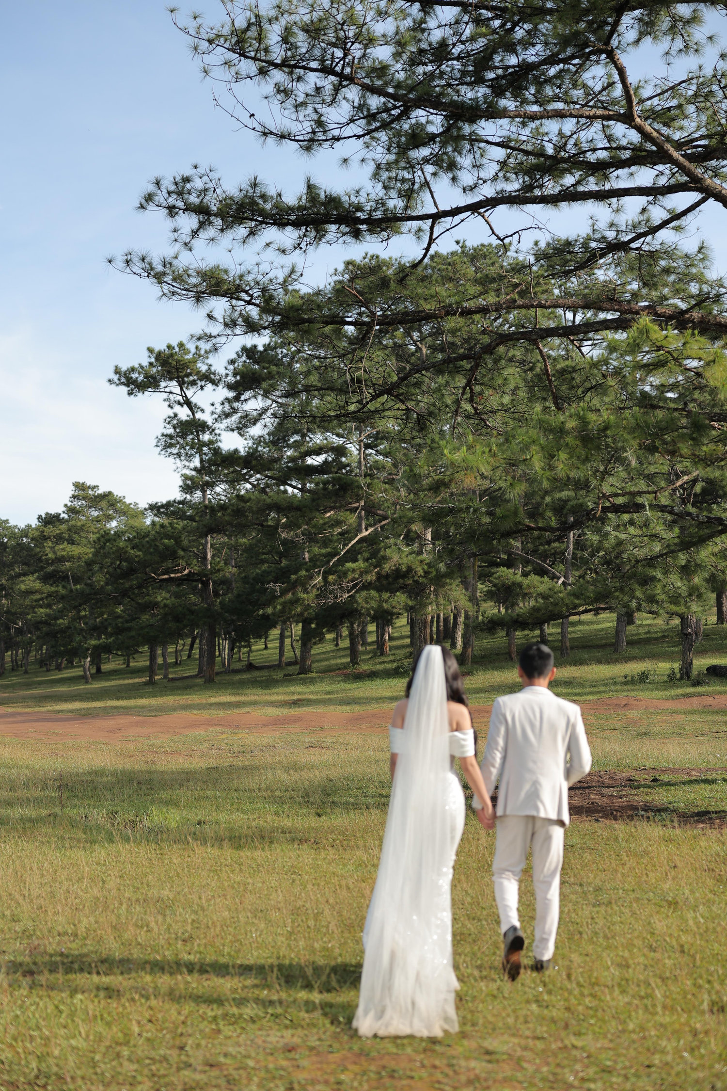 The Wedding Website of Thien Nguyen and Huy Vu