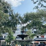 Hyde Park Village - Tampa
