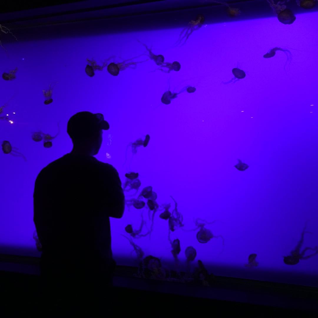 Visiting the aquarium in AZ