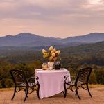Local Wineries