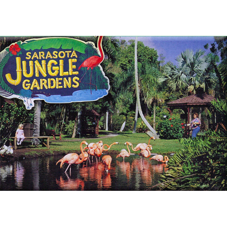 Visit with cool animals, including, Flamingos, alligators, parrots, and cute baby farm animals at the Sarasota Jungle Gardens!