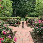 The Frelinghuysen Arboretum