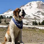 Timberline Lodge Trailheads