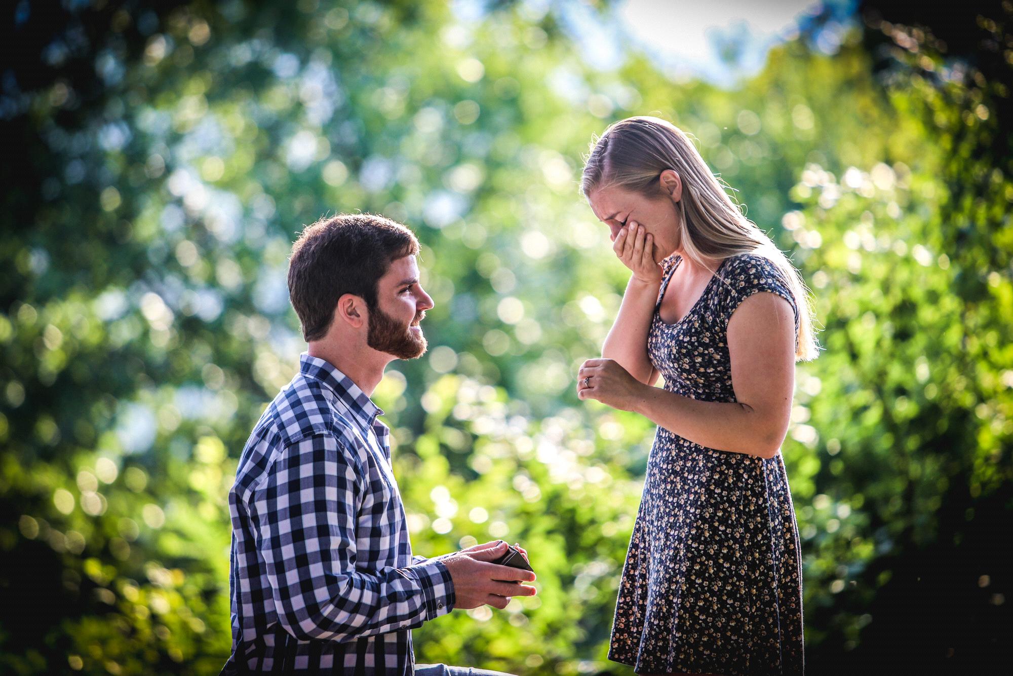 2019 - the proposal