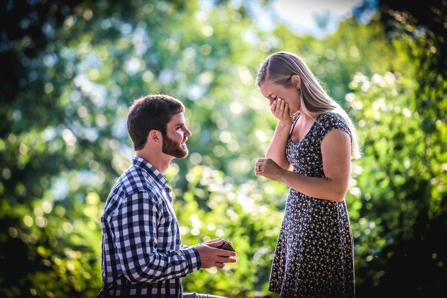 2019 - the proposal