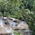 The World Famous Dunn's River Falls & Park