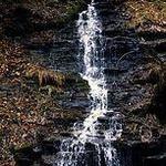 Bridal Falls in Allegany State Park