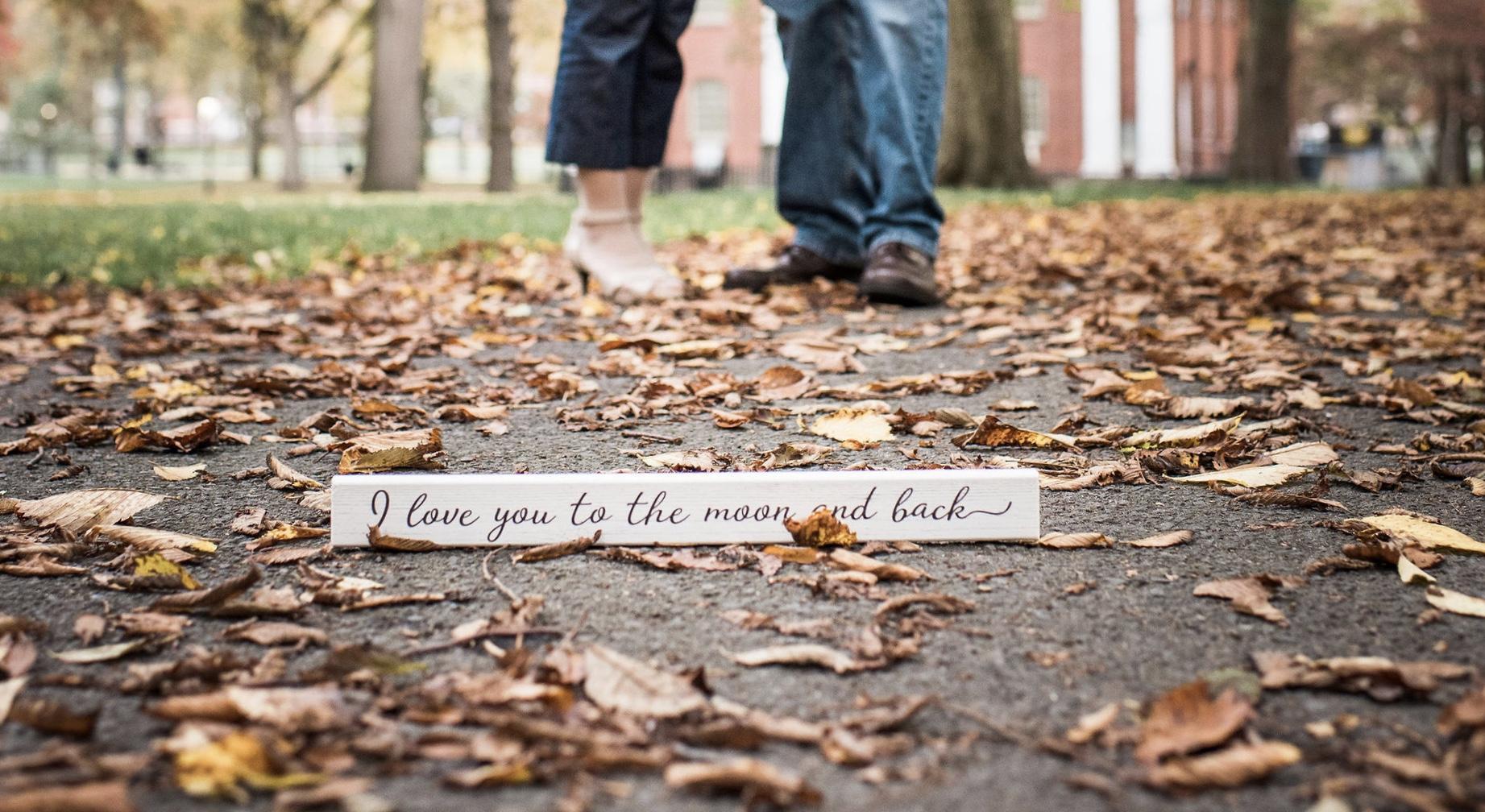 Footer image