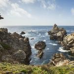 Point Lobos State Natural Reserve