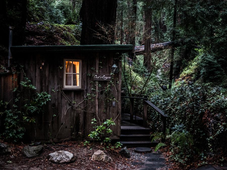 The Wedding Website of Sarah Marriott and Andrew Kenward