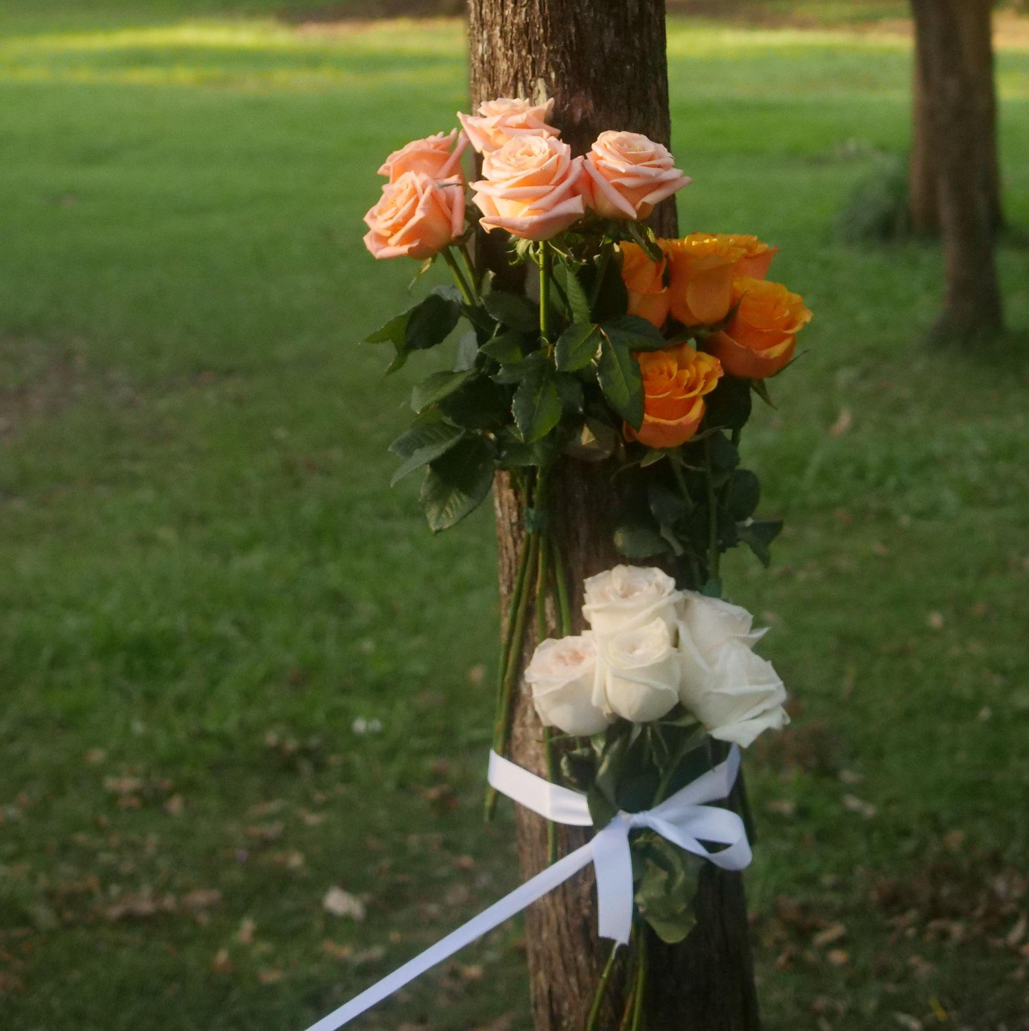 52 roses