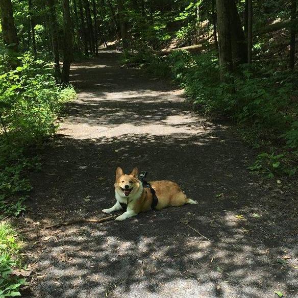 Our first hike as a family
