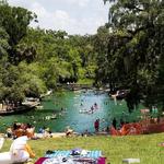 Wekiwa Springs State Park