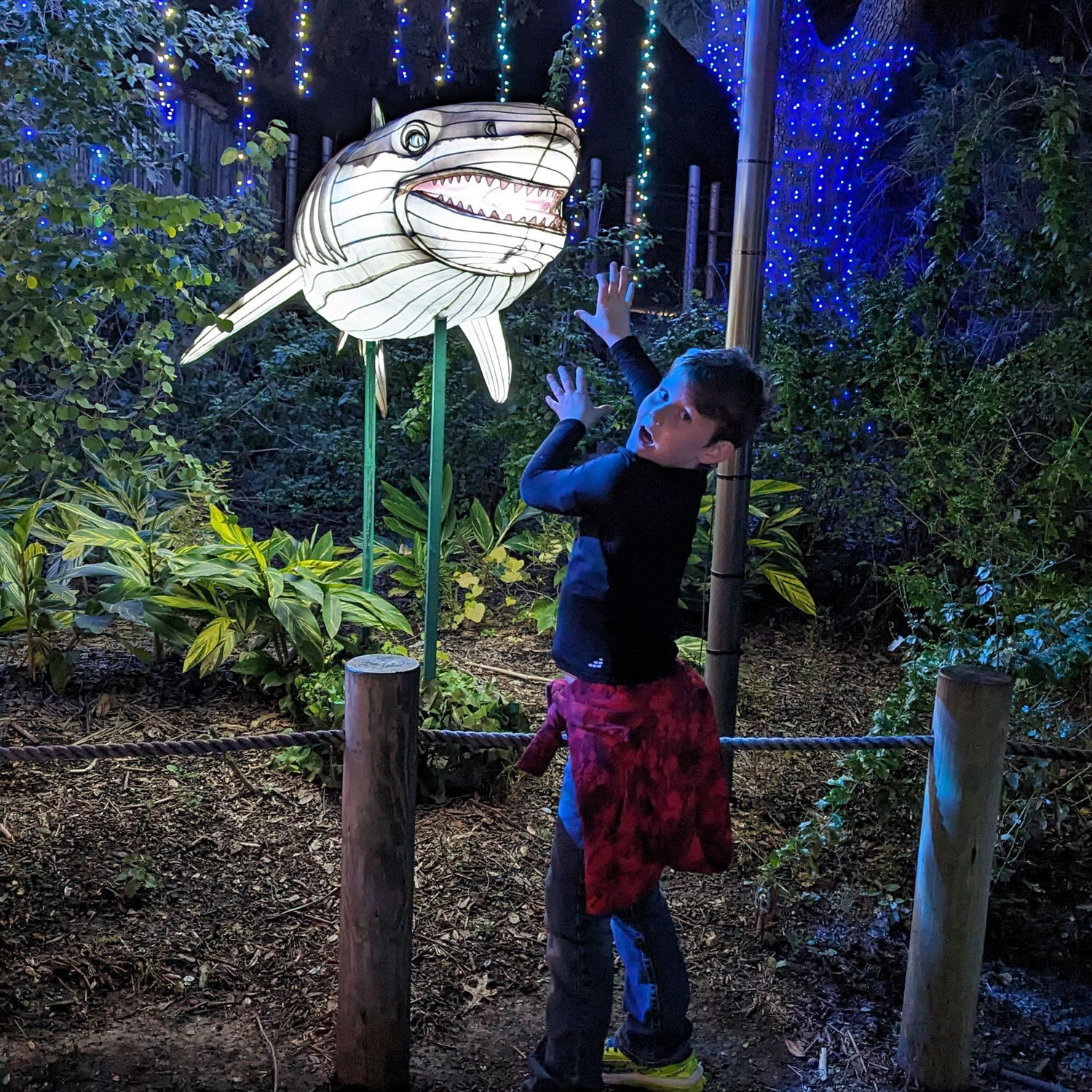 Zoo Lights!