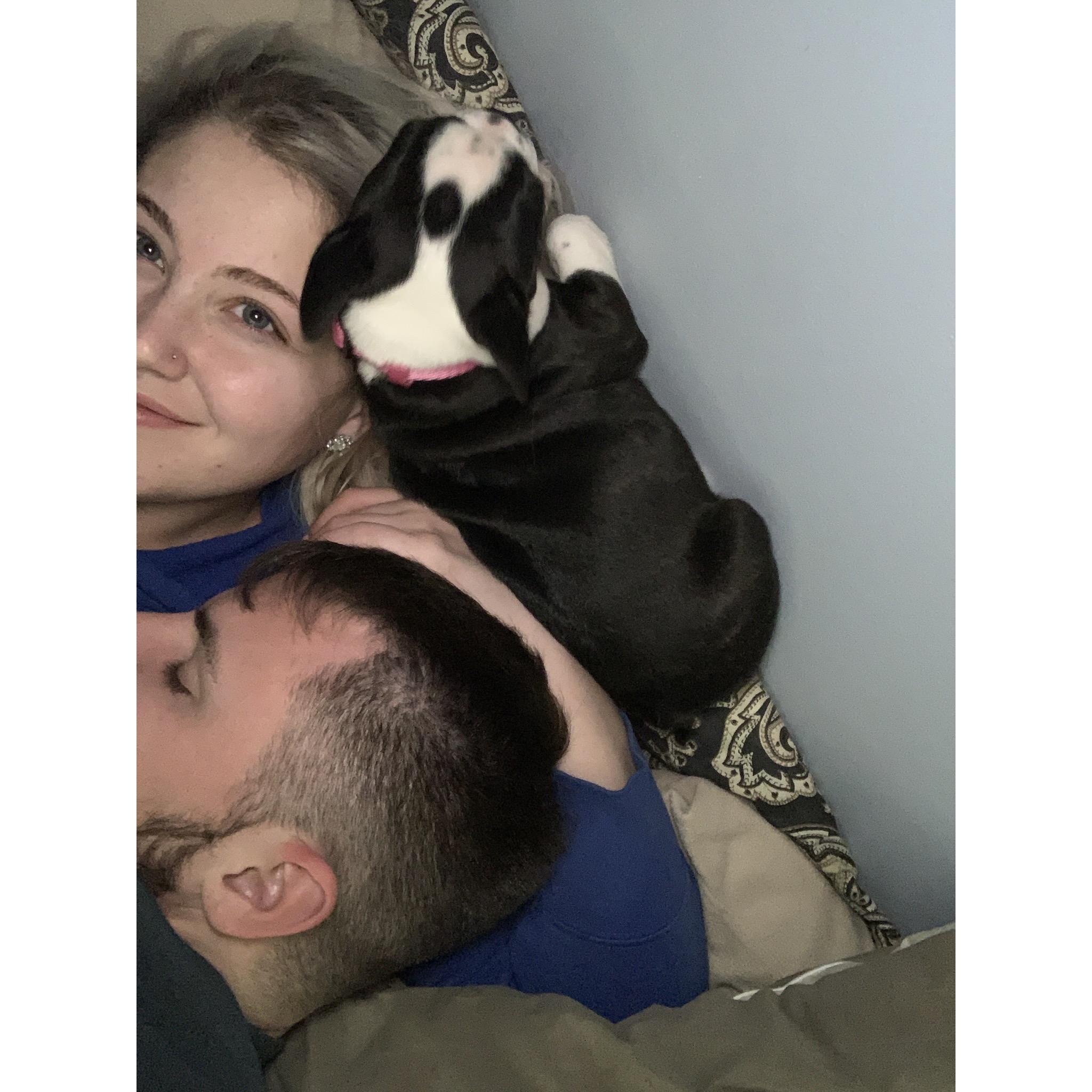 Thanksgiving 2019 we finally got our precious baby girl Libby! 💕🐾