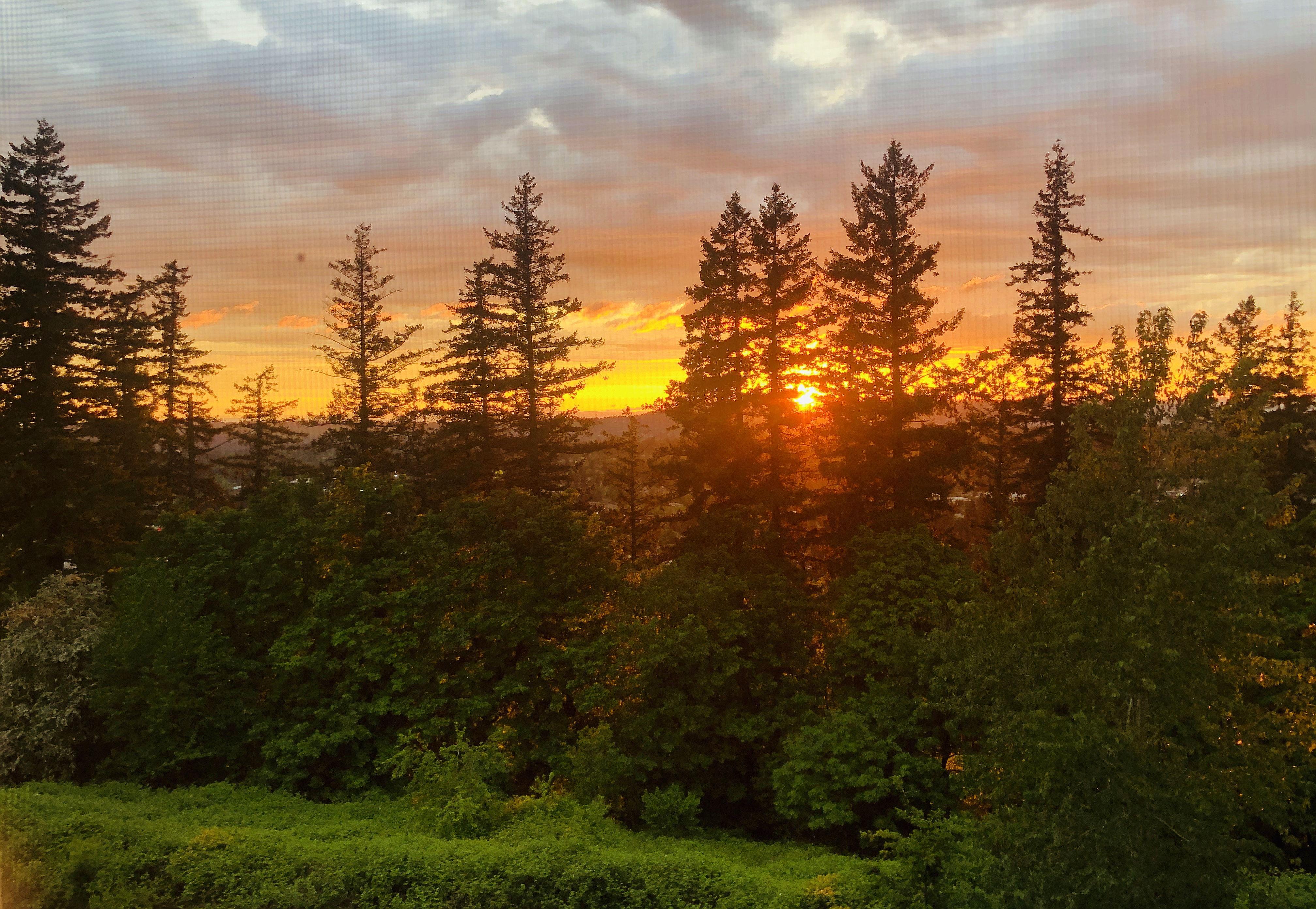 The Wedding Website of Erica Spriggs and Colin Schultz