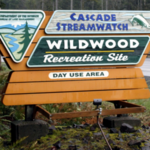 Wildwood Recreation Site