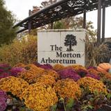 The Morton Arboretum