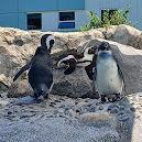 Mystic Aquarium