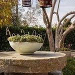 The Well Summerland