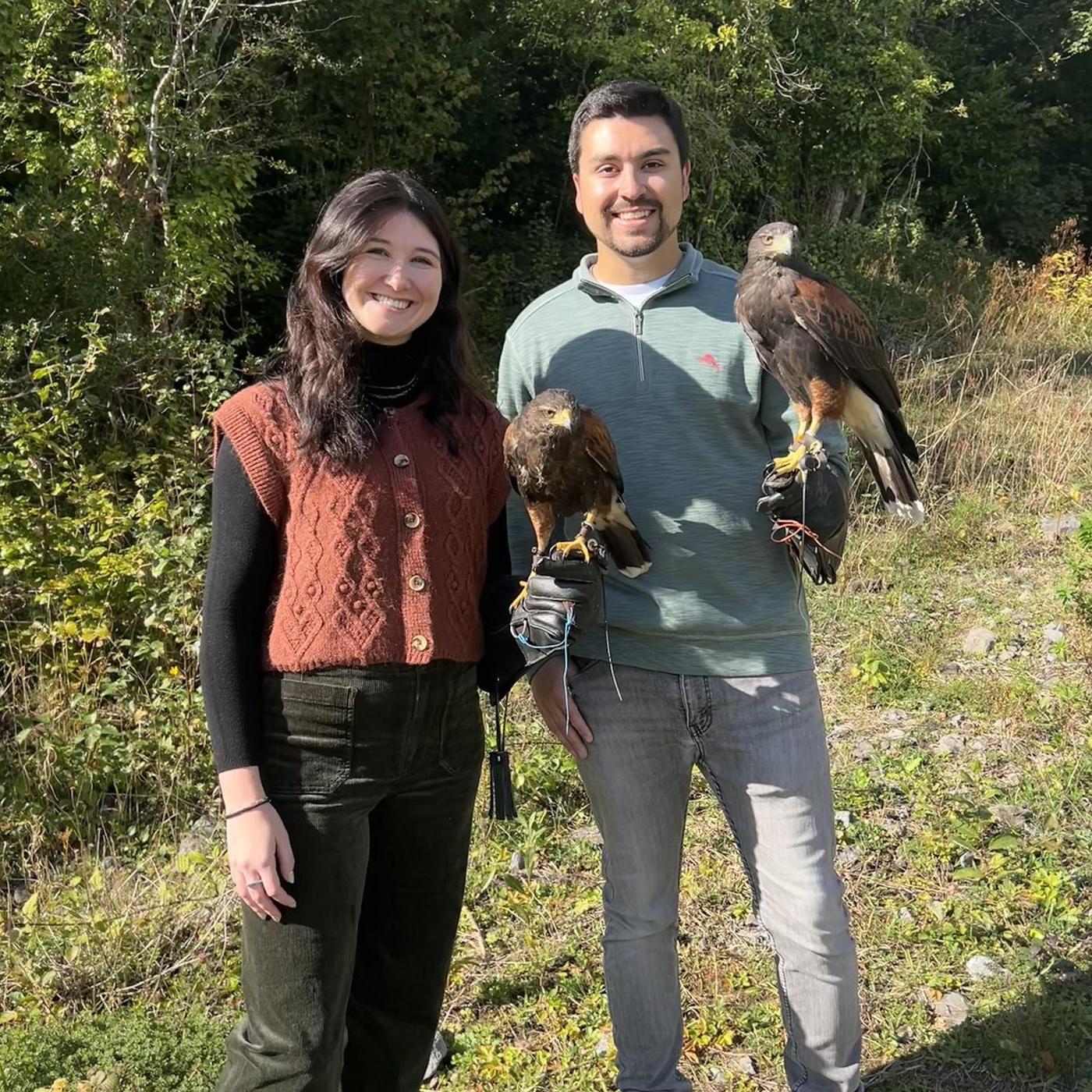 Falconry in Ireland on our 7th anniversary!