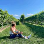 Newport Vineyards