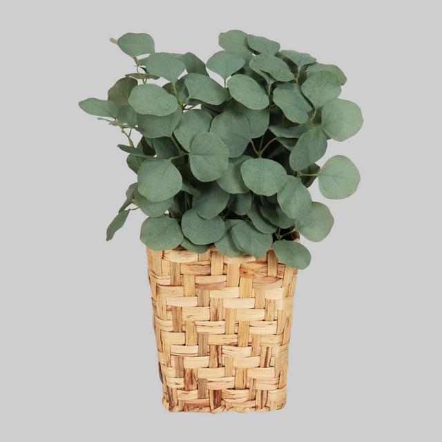 Hanging Woven Planter with Eucalyptus Plants Wall Sculpture Green - Threshold™