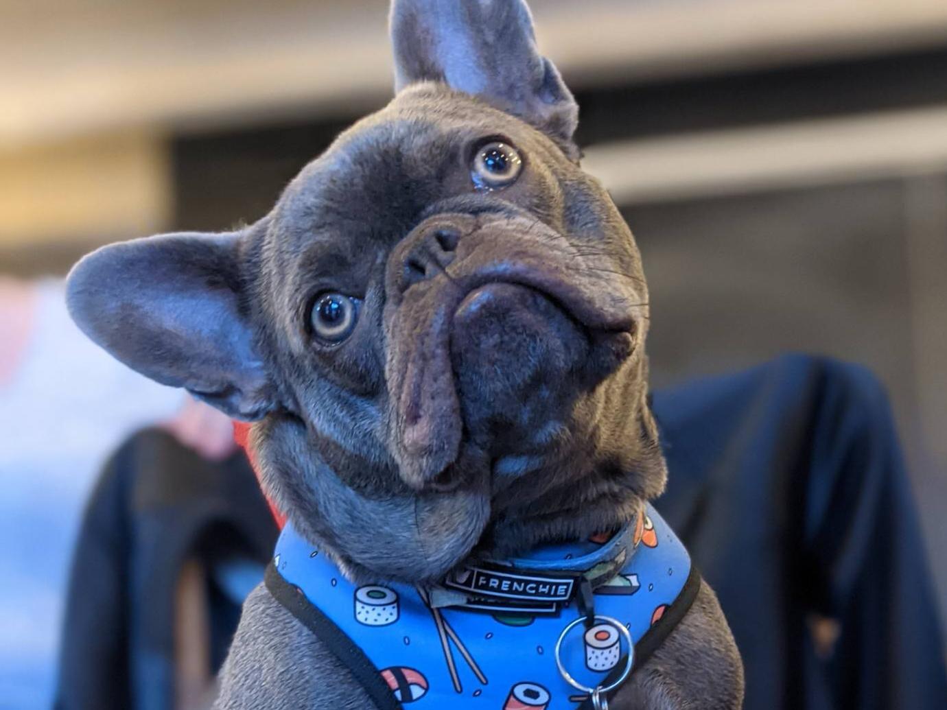 The Wedding Website of Andrea Mui and Kyle Mui