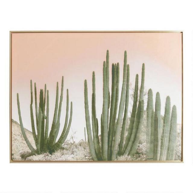 Organ Pipe Cactus Framed Canvas Wall Art