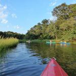 Lonnie's Pond