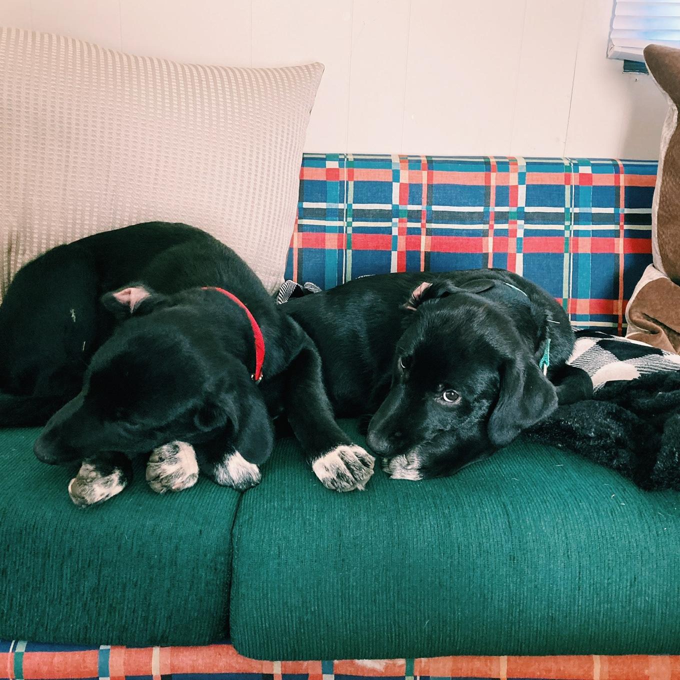 Jam and June