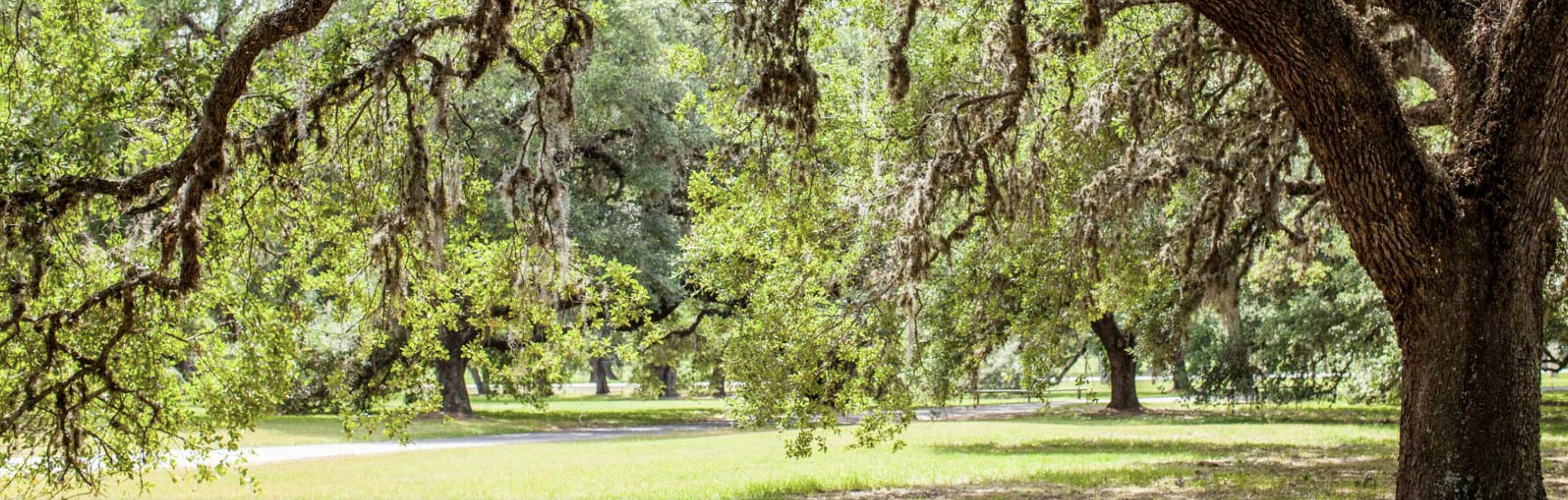 The Wedding Website of Alexandra Andrus and Blake Kruger