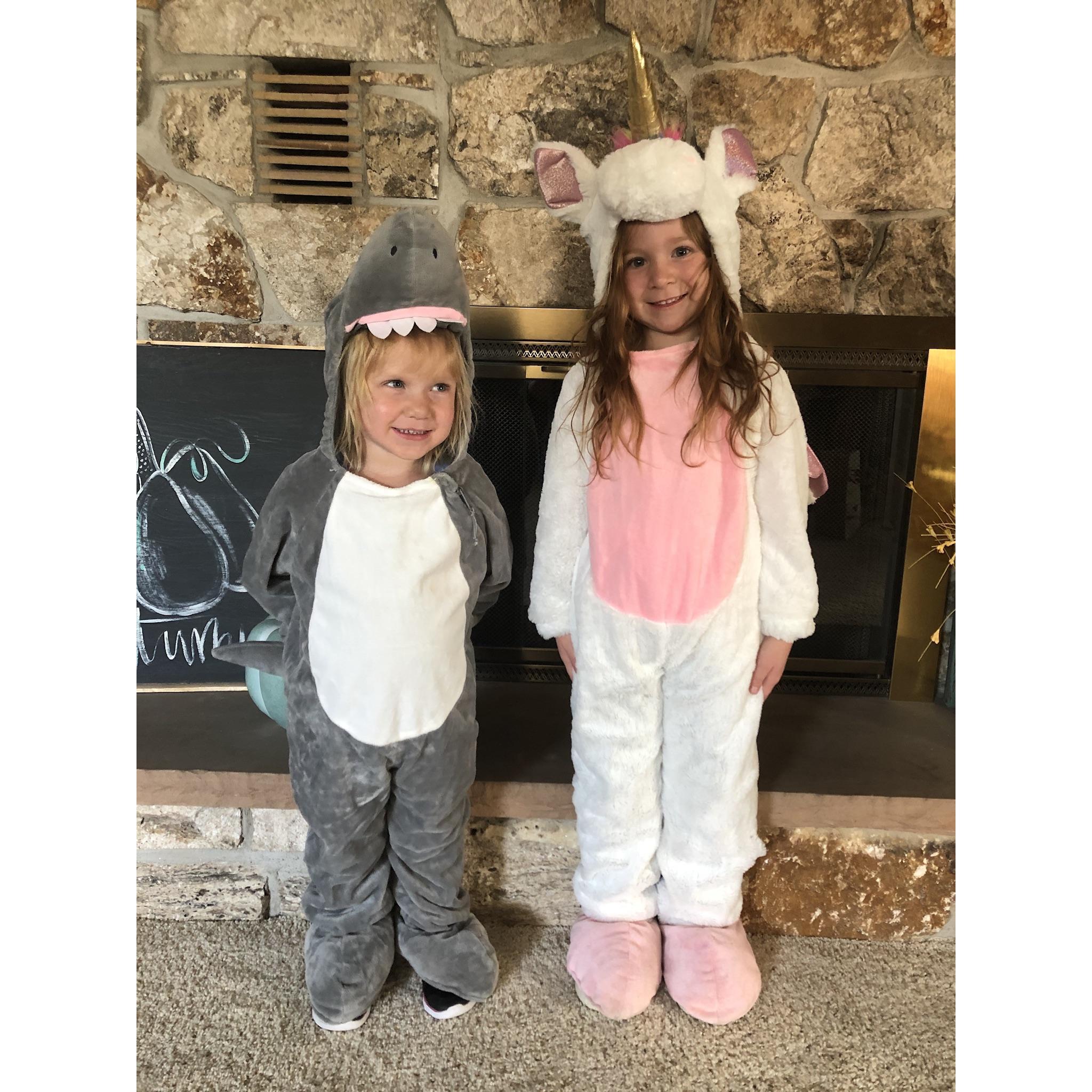 Madalyn (flower girl) and Emma (flower girl) on Halloween, are Amanda’s nieces