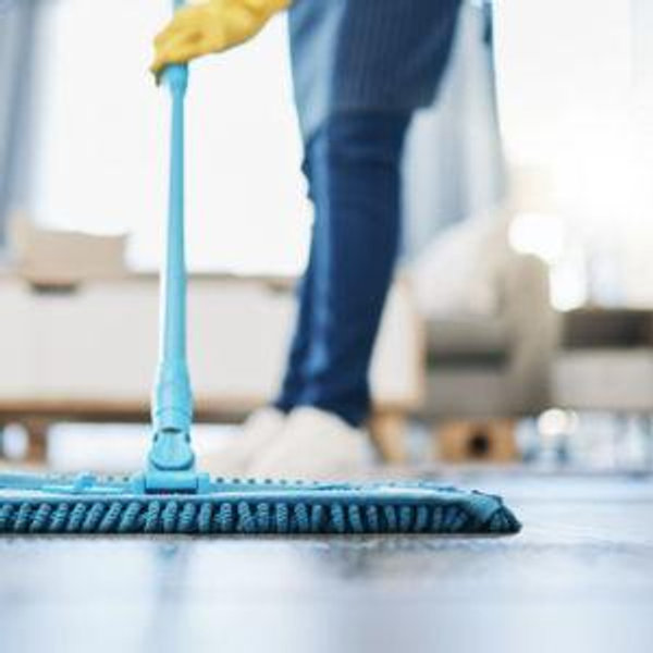 A house cleaner