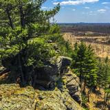 Quincy Bluff and Wetlands State Natural Area