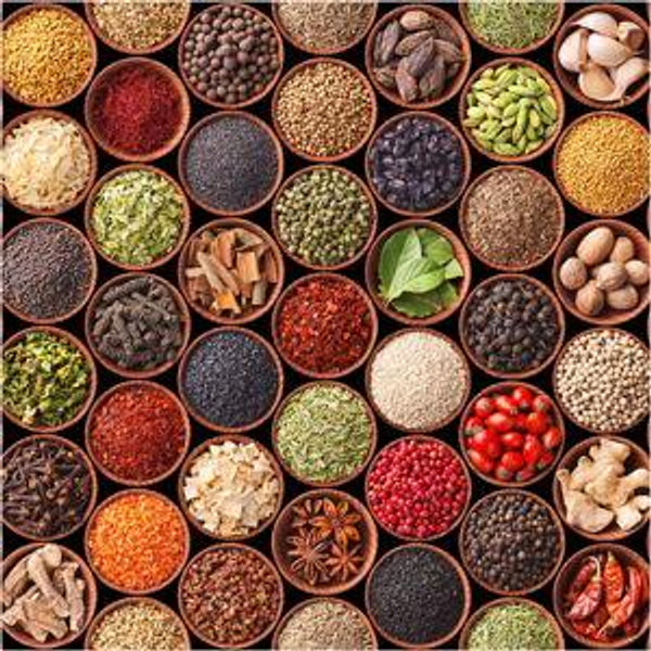 Local Spice Farm Tour in Zanzibar