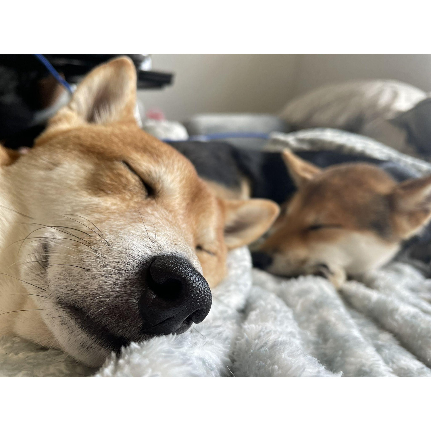 Our Favorite Activity