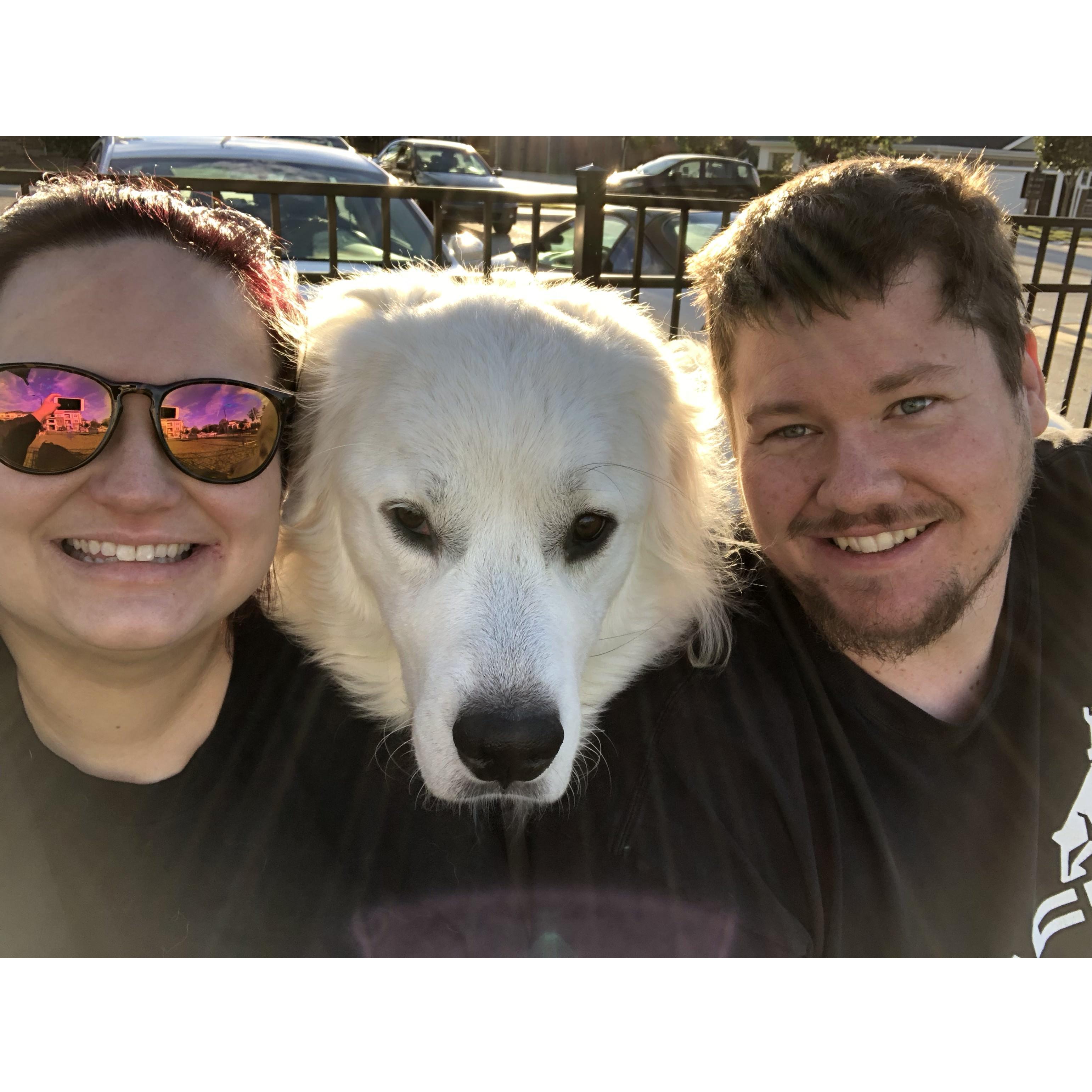 A day at the park