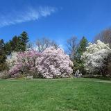 Marquand Park