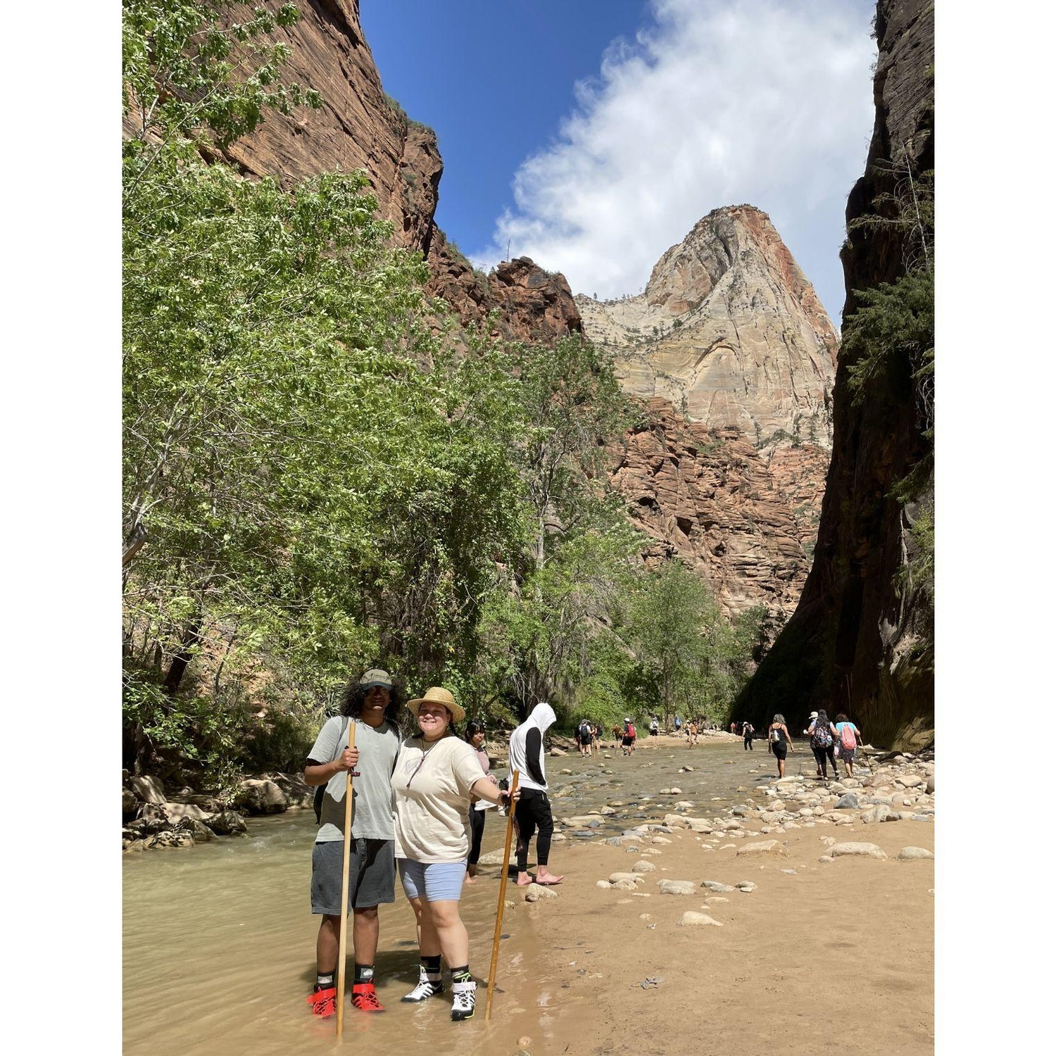 The narrows, 2022