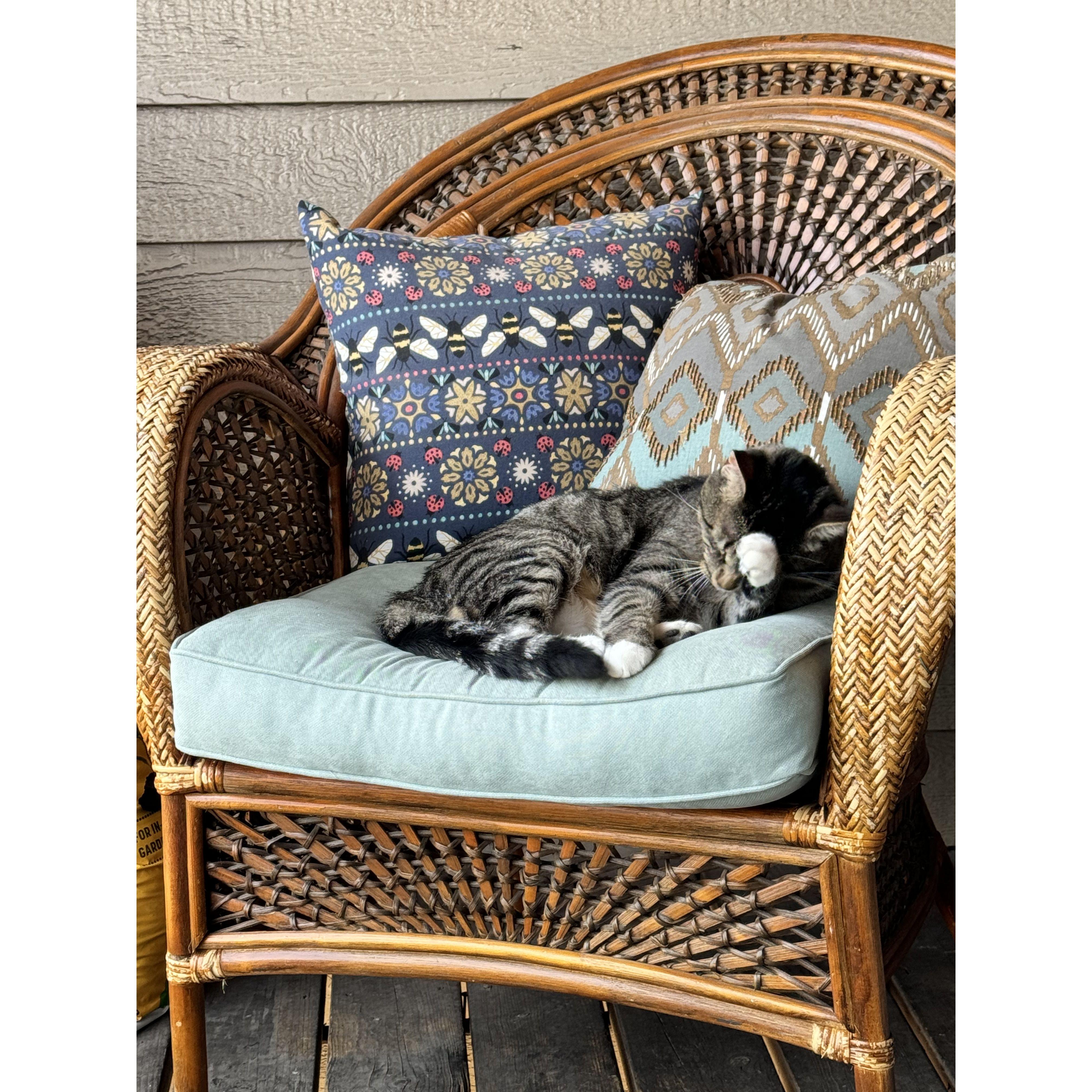 Finn lounging on our balcony while we planted flowers.