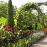 Cheekwood