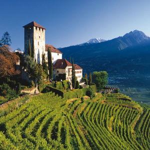 Honeymoon Flight Fund