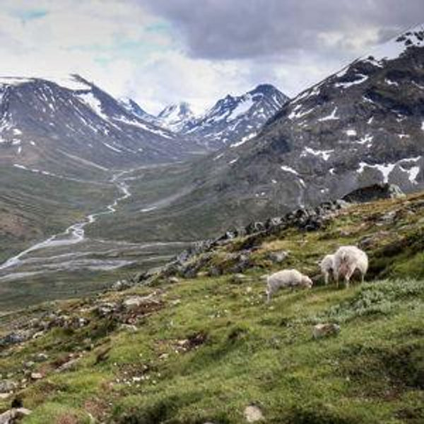 Hiking Tour Guide