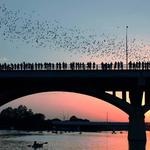 Ann W. Richards Congress Avenue Bridge