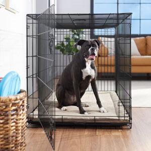 FRISCO Fold & Carry Single Door Collapsible Wire Dog Crate, X-Large - Chewy.com