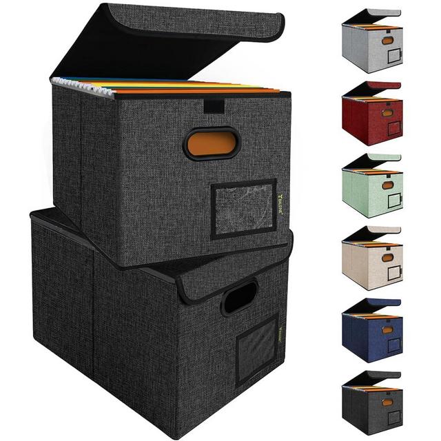 BALEINE File Organizer Box with Lid, Collapsible File Folder Organizer with Plastic Slide, Hanging File Folder Box for Office Document Storage (2 Pack, Black)